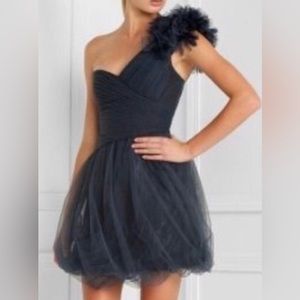 NWT BCBG Maxazria Blue Grey Dress